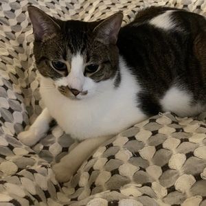 Meet your Posher, Grace